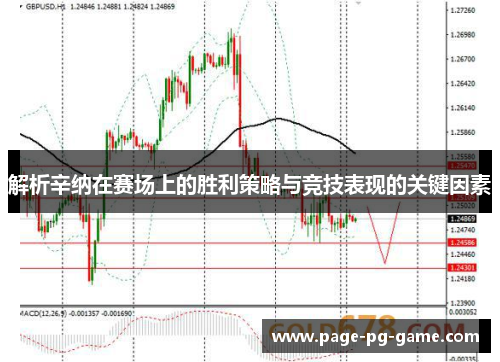 解析辛纳在赛场上的胜利策略与竞技表现的关键因素