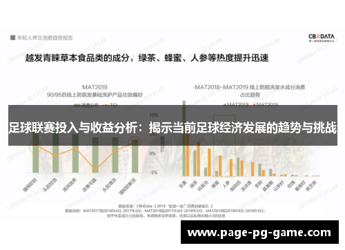 足球联赛投入与收益分析：揭示当前足球经济发展的趋势与挑战