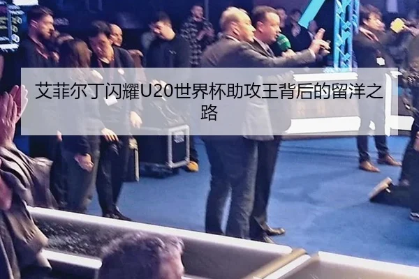 ai-fei-er-ding-shan-yao-shi-jie-bei-zhu-gong-wang-bei-hou-de-liu-yang-zhi-lu-3-582.jpg